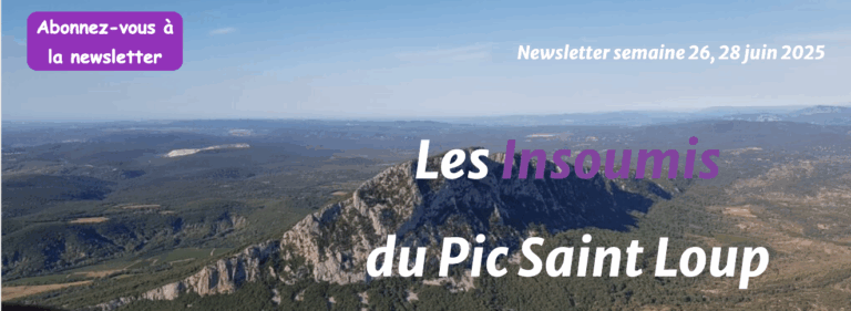 insoumis