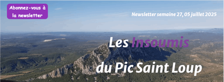 pic saint loup