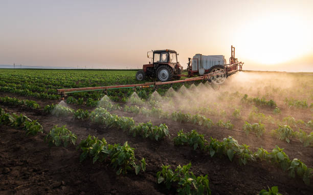 Cancer du pancréas, un lien avec l’exposition aux pesticides