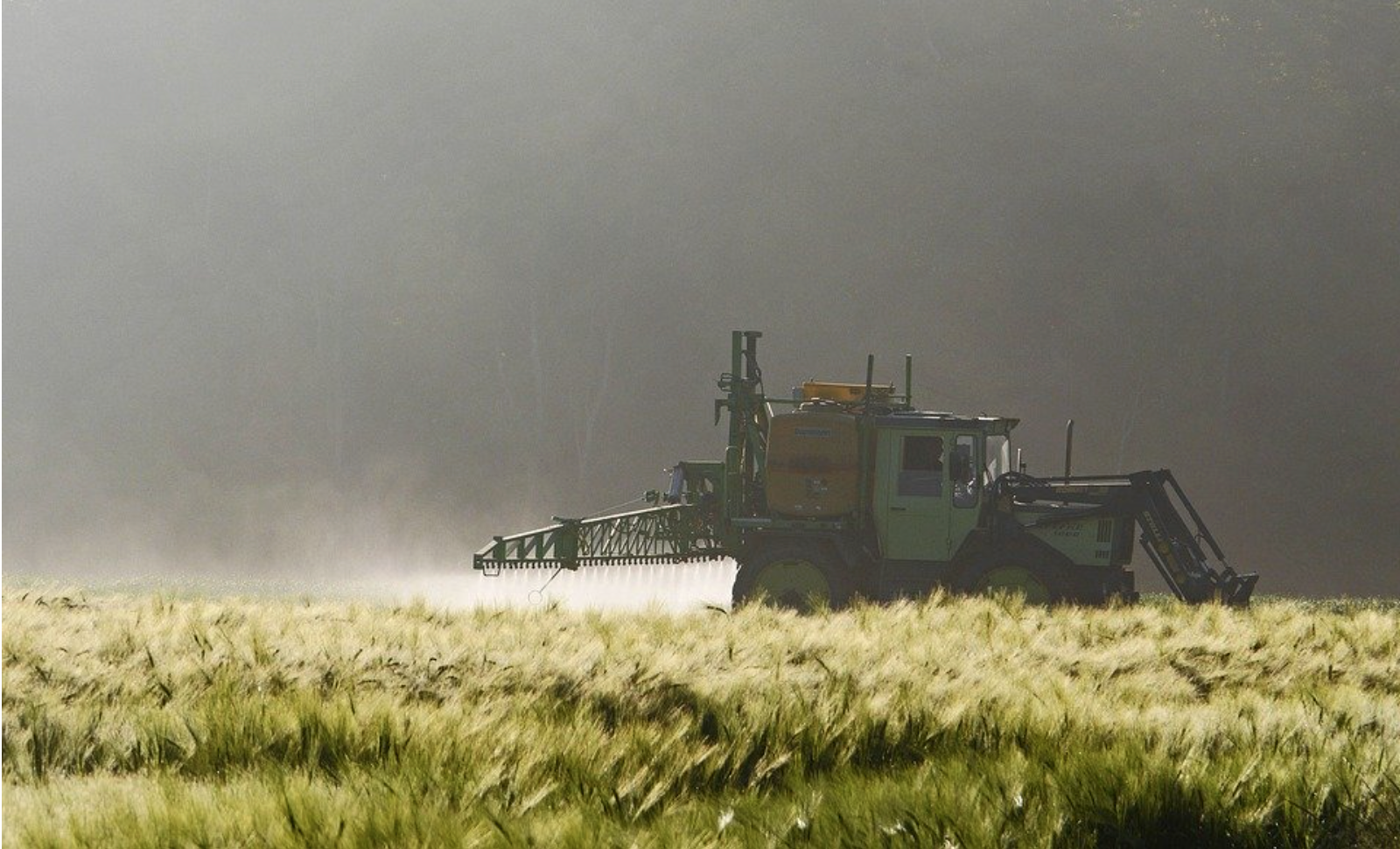 Les fleuristes se retrouvent exposés à des niveaux de pesticides bien supérieurs aux niveaux considérés comme sûrs.