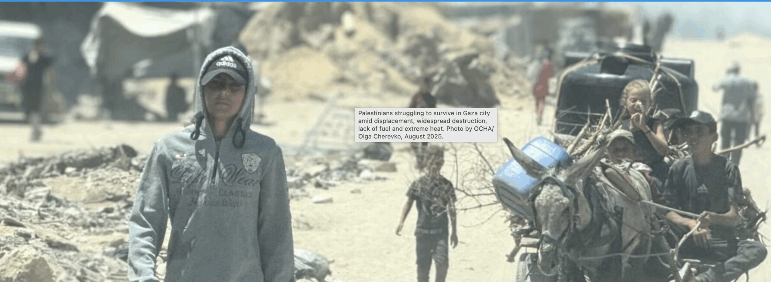 Génocide à Gaza – 150 000 enfants en état de malnutrition aiguë, avec un risque élevé de mortalité