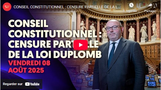 conseil constitutionnel