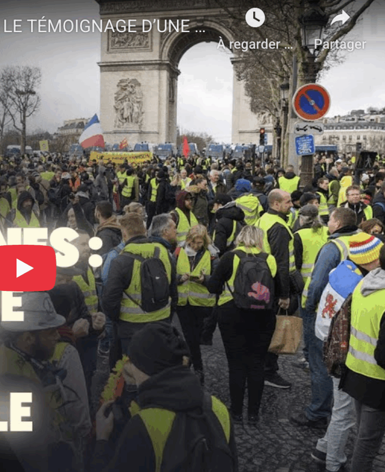LES GILETS JAUNES