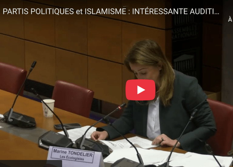 PARTIS POLITIQUES et ISLAMISME