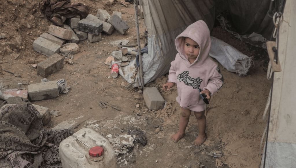 gaza