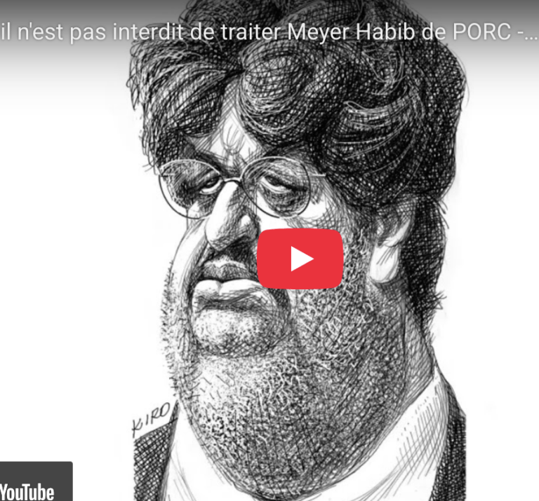 Victoire de David Guiraud