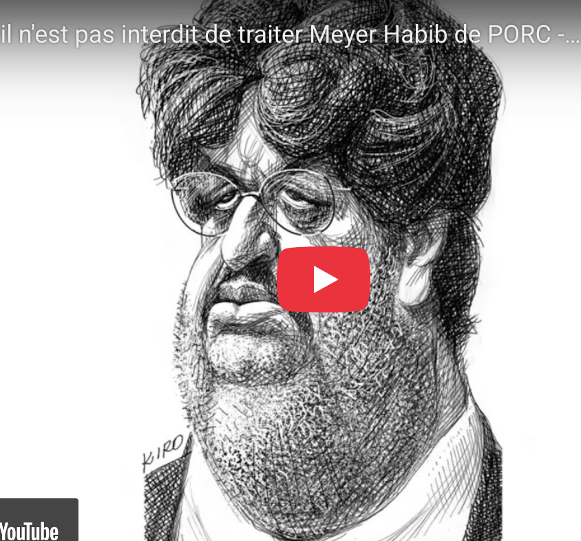 Victoire de David Guiraud