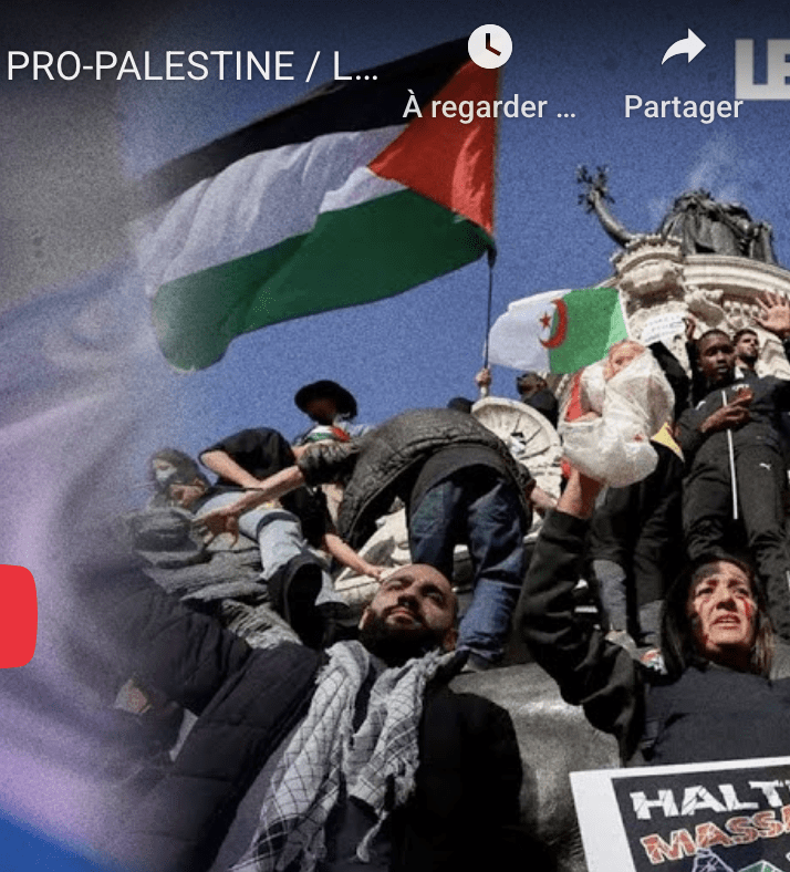 Manifestants pro-Palestine