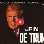 Trump dans la sauce