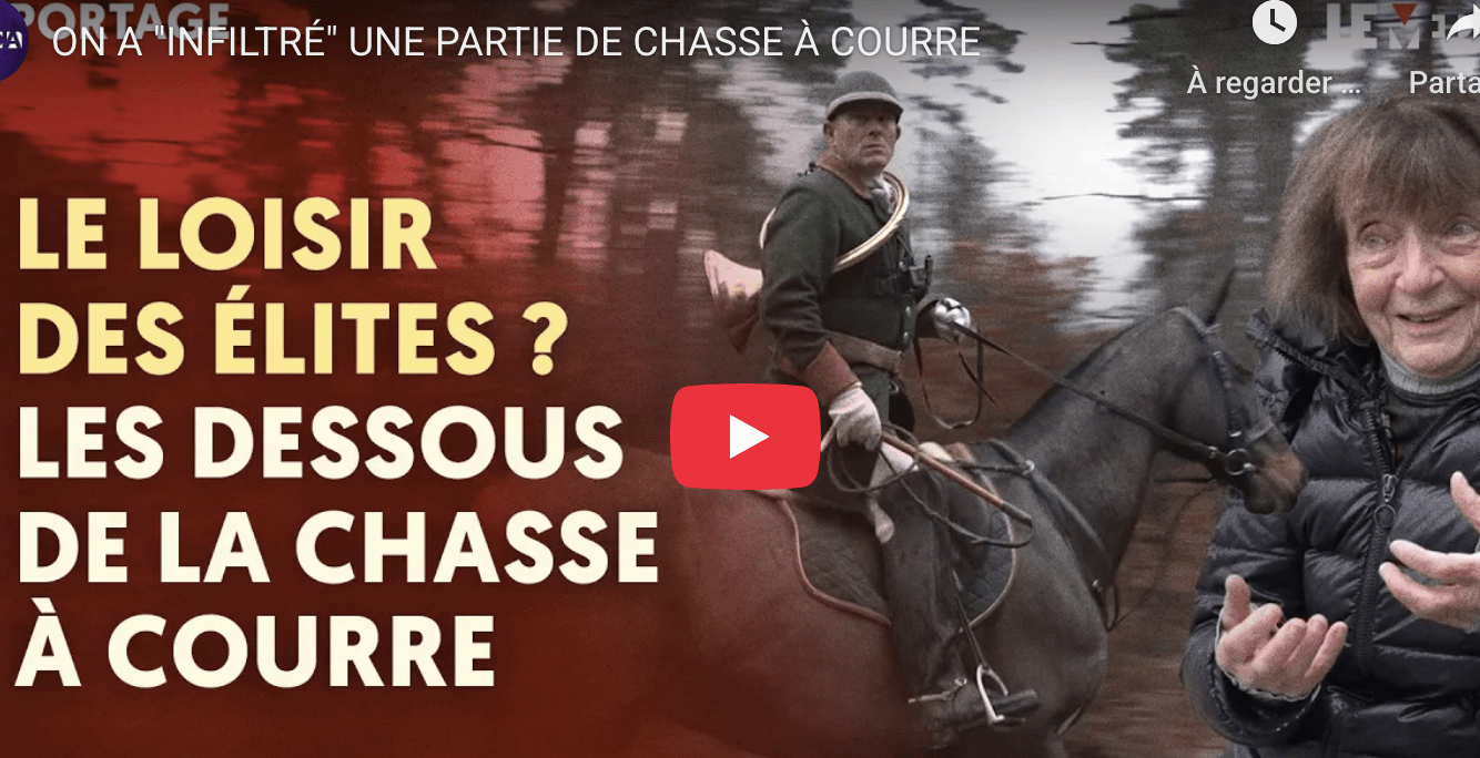 Chasse à courre