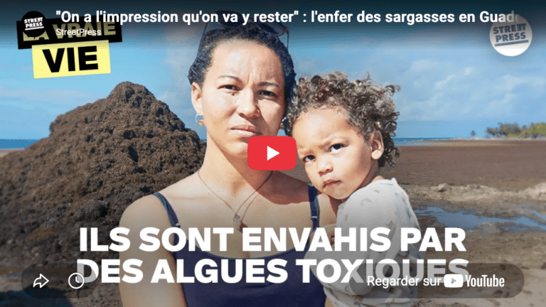 L'enfer des sargasses