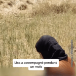 Cisjordanie occupée