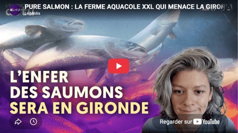 Pure salmon