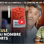 Canicule