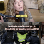 Manifester